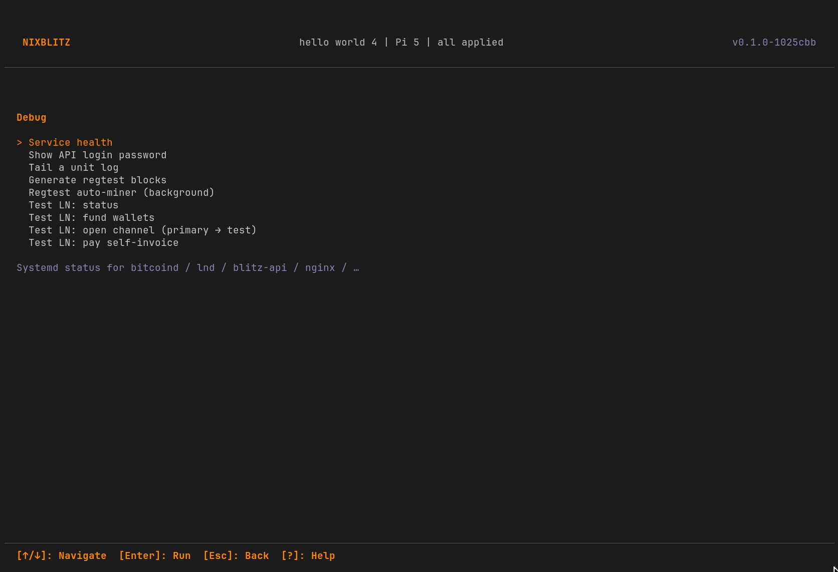 The Debug view: service health, log tail, regtest helpers.